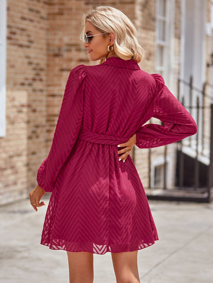 Belted Surplice Neck Long Sleeve Mini Dress